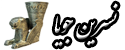 نسرین جویا